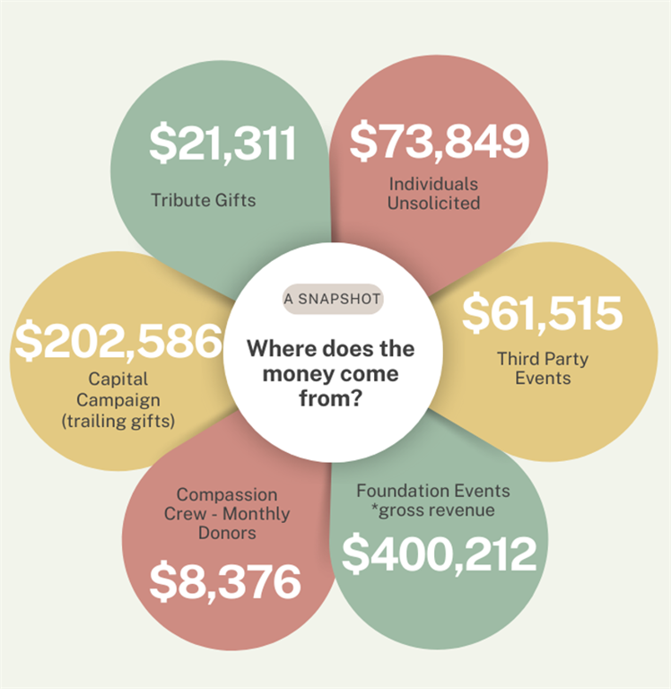 – graphic that describes where the money comes from